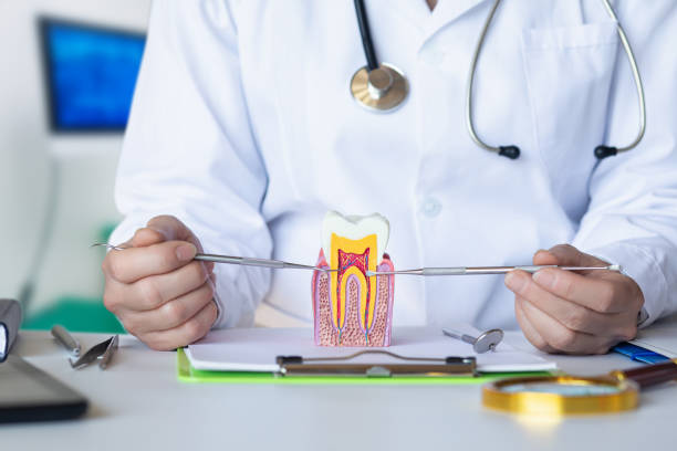 Best Emergency Root Canal Treatment in Grayslake, IL